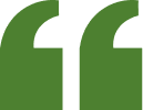 Double quotation marks in green color
